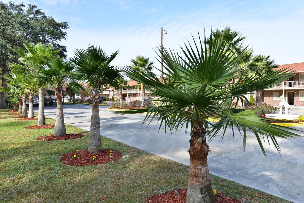 Savannah Inn And Suites Savannah Port Area Bekvämligheter bild